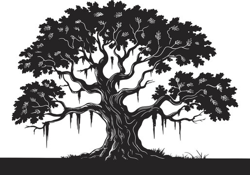 Spanish moss hanging from live oak tree silhouette, southern landscape scenery, botanical nature study, garden decoration and regional landscape vector design.
