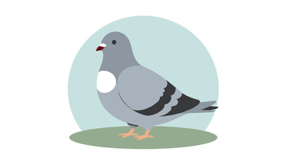 Obraz premium Simple side view illustration of a grey pigeon with a white chest standing on green grass against a blue circle.