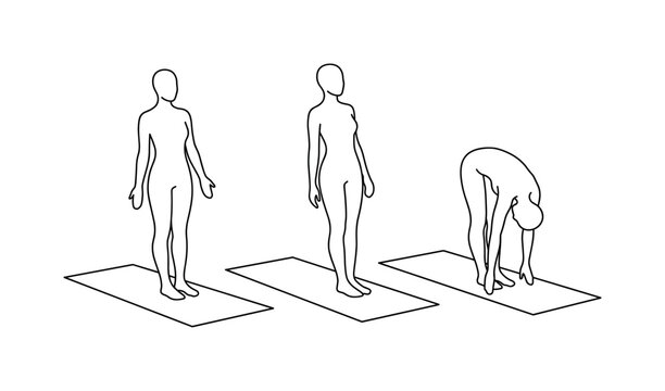 Line art of yoga poses showing standing and forward fold on mats