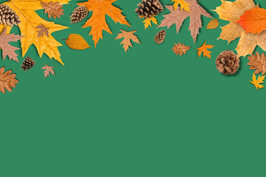 Autumn. Vibrant assortment of fall leaves and pine cones scattered on green surface
