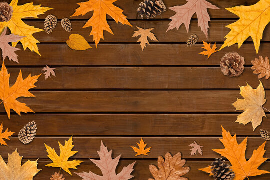 Fall. Autumn leaves and pine cones are artfully displayed on wood surface