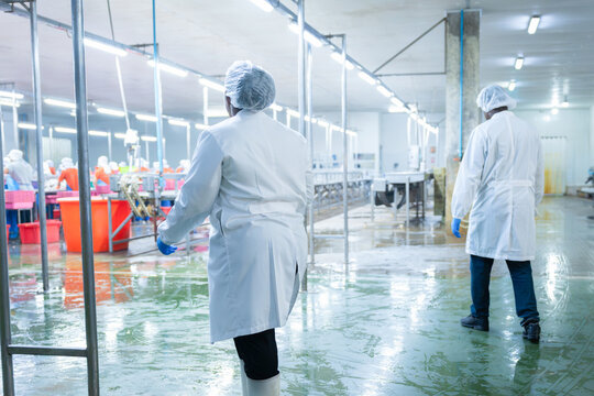 Seafood production line inspectors walking in clean food processing room, Food processing factory workers walking in plant, Industrial food manufacturing quality control worker inside factory facility