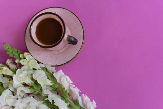 Pink surface holds a cup of coffee. White flowers lean beside the cup. Soft, calm tones evoke quiet mornings. Ideal for cozy, serene, or coffee-themed scenes.