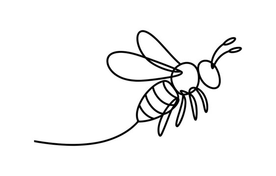 Continuous single line drawing of a flying honey bee