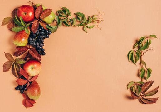 Autumn seasonal fruits apples pears grapes leaves pastel brown background. Thanksgiving harvest concept. Autumn vintage