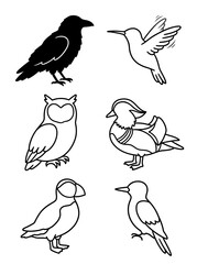 Naklejka premium Diverse collection of bird illustrations featuring outlined silhouettes of a raven owl hummingbird mandarin duck puffin and small wild songbird