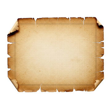 Old vintage paper scroll with grid lines isolated on transparent background