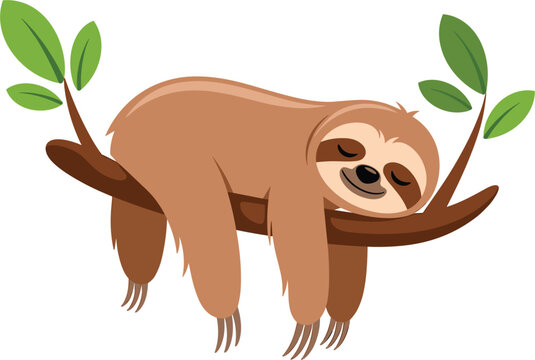 Cute cartoon sloth sleeping peacefully on tree branch, vector illustration element isolated on white background