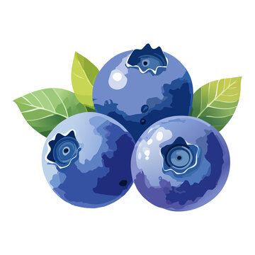 Trio fresh blueberries with green leaves vector illustration for organic berry farm poster and juice menu