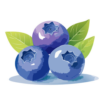Fresh blueberry fruit cluster vector icon for healthy breakfast cereal box graphic and smoothie bar banner