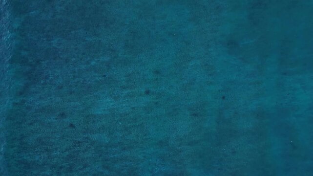 Sea turtle swimming in blue ocean water, surrounded by plastic waste and debris. Highlighting marine pollution and environmental concerns. Marvelous aerial view descending drone camera pointing down