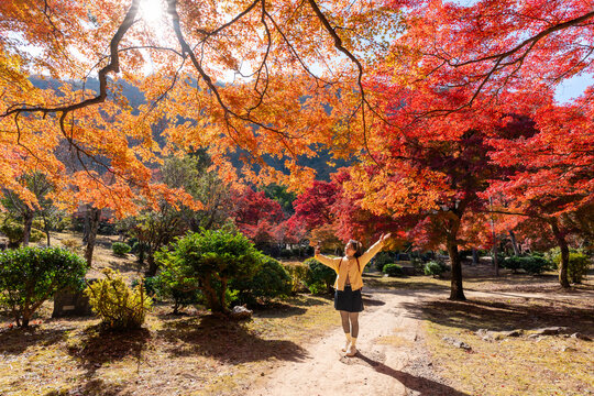 Solo happy traveler taking selfie with a scenic path surrounded by vibrant autumn maple trees at Arashiyama in Kyoto, Japan