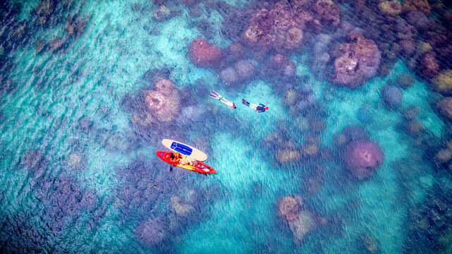Top aerial view of Group of tourist are enjoy on water sport paddle sup-board with kayaking along at the edge of the sea beach under crystal clear of water in the island of summer trip
