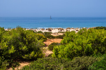 Sand dunes in front of La Barrosa beach in Sancti Petri, Chiclana de la Frontera, Cadiz, Spain © josevgluis
