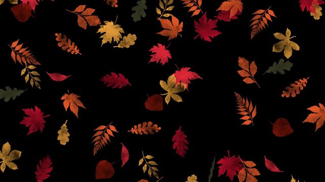 Falling autumn leaves animation. Perfect for fall season and nature scene on transparent background
