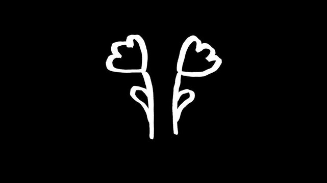flower hand drawn animation, floral blossom bloom botanical plant flora, animated illustration motion design doodle clipart vector icon, white outline black