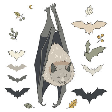 Fruit bat vector illustration with flying bats halloween element set