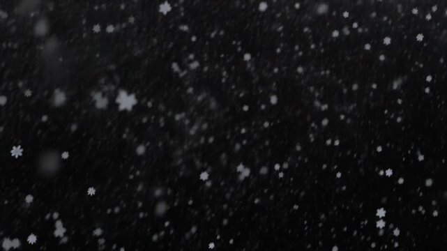 Falling Snowflakes on Black Background