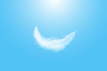 Obraz premium Soft white bird feathers floating on a blue sky. fluffy downy. symbol of freedom and peace. white clouds and blue sky background. feathers flying in heavenly sky. 