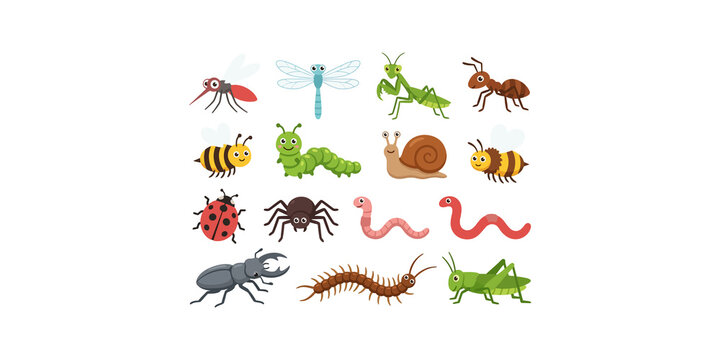 Educational insect collection featuring colorful bugs and creepy crawlies for kids biology study or fun graphic projects.