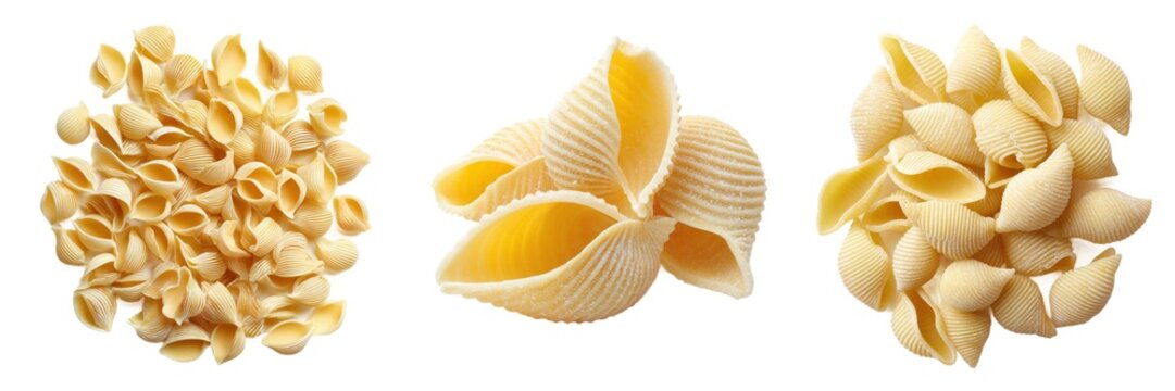Uncooked dry shell pasta conchiglie shapes set isolated on transparent background