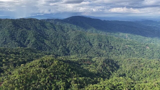 Aerial view from drone of the forest and mountain range