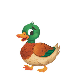 Mallard duck cartoon character walking isolated on transparent background