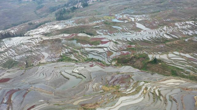 Aerial View of Yuanyang Rice Terraces in Yunnan, China