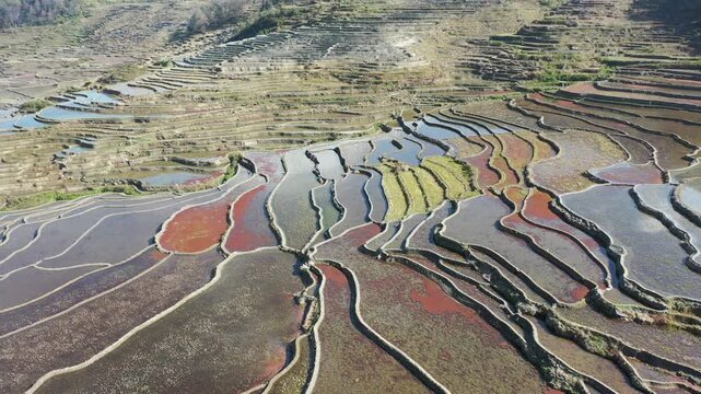 Aerial View of Colorful Yuanyang Rice Terraces in Yunnan China