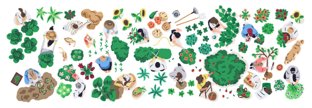 Farming and gardening, top down view set. People work in vegetable garden, growing tree, watering flowers. Plant care and harvesting from above. Flat vector illustration isolated on white background