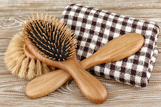 Pet grooming tools, from a side angle with natural light and copy space