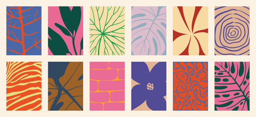 Fototapeta premium Abstract botanical posters set. Modern organic leaf, floral and nature inspired geometric patterns in colorful contemporary wall art collection.
