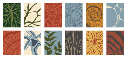 Naklejka premium Abstract botanical posters set. Modern organic leaf, floral and nature inspired geometric patterns in colorful contemporary wall art collection.