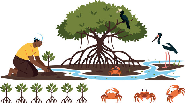 Mangrove Restoration and Reforestation Set with Volunteer Planting Sapling, Ecosystem Wildlife, Crabs, Hornbill, and Stork Icons
