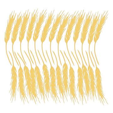 Ilustraci&oacute;n vectorial de espigas de trigo doradas dispuestas en dos filas sim&eacute;tricas sobre un fondo blanco aislado, ideal para dise&ntilde;os de panader&iacute;a y agricultura.