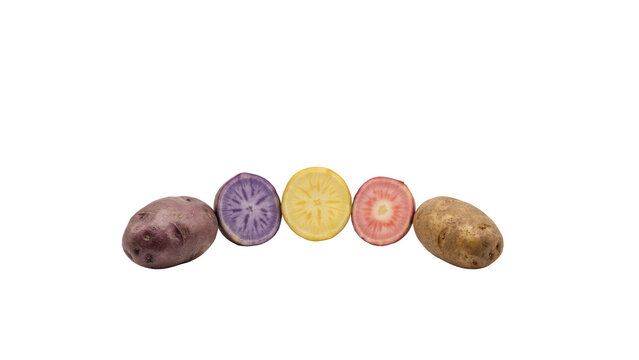Assorted whole and sliced colorful potatoes including purple, yellow, and red varieties arranged in a... isolated on a transparent background