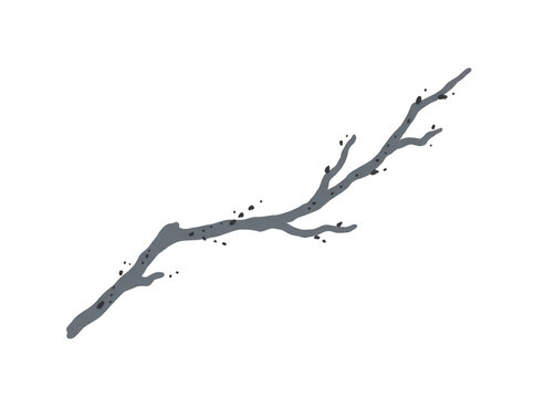 Ilustra&ccedil;&atilde;o vetorial minimalista de um galho de &aacute;rvore seco e sem folhas, desenhado com tra&ccedil;os simples e elegantes em estilo art&iacute;stico sobre um fundo branco isolado, ideal para design gr&aacute;fico.