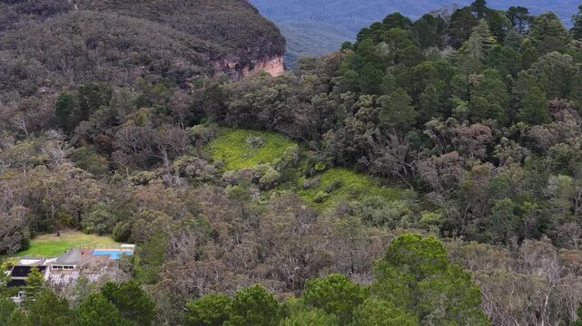 Aerial View of Eucalyptus Forest and Sandstone Cliffs in Wentworth Falls
