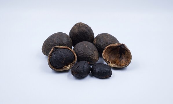 Kluwek or Pangium edule seeds on solid white background