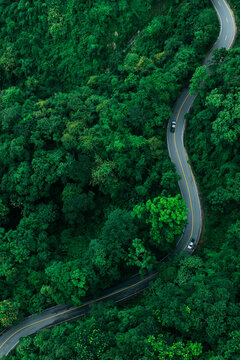 Aerial Forest Road Through Tropical Landscape for ESG Sustainability and Net Zero Strategy