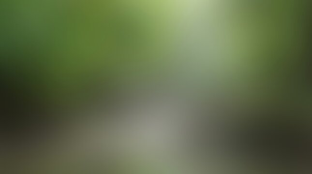 Abstract Blurred Background of a Tropical Mangrove River and Lush Green Vegetation