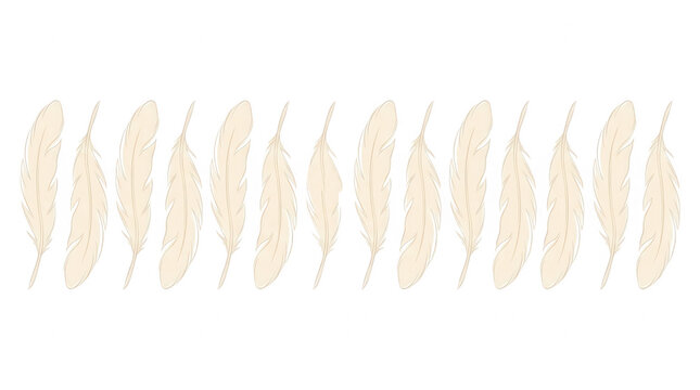 Una fila orizzontale di piume bianche delicate e soffici disposte uniformemente su uno sfondo bianco puro, ideale per design minimalista, elementi decorativi eleganti o progetti grafici creativi.