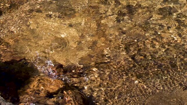 Clear Water Flowing Over Stones in a Shallow Creek