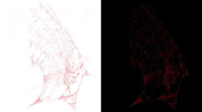Abstract red spider web illustration set, intricate cobweb sketch on white and black backgrounds, gothic silk thread texture for halloween
