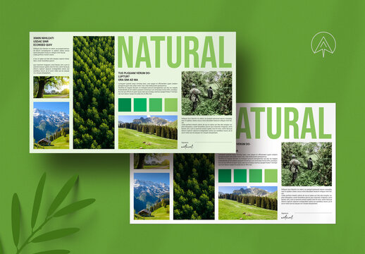 Natural Mood Board Template
