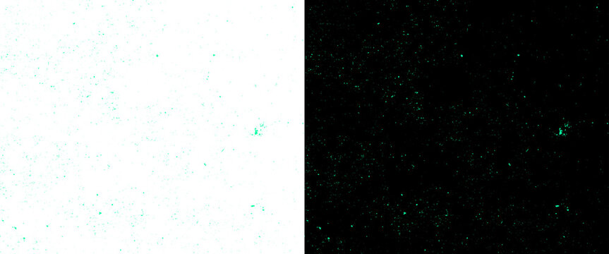 Minimalist split screen background with white and black textured panels, abstract fine grain texture overlay for modern graphic design