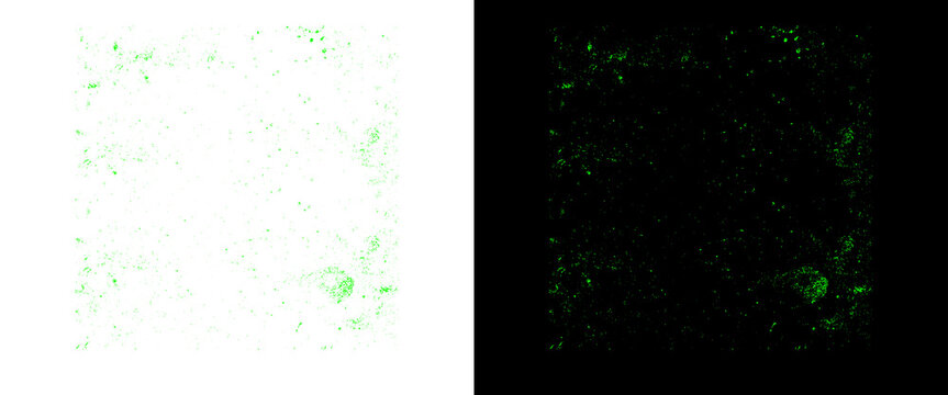 Green grunge texture on white and black background, distressed overlay effect, abstract dirty splatters for graphic design