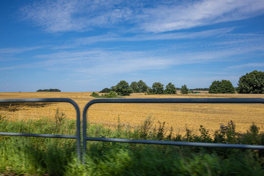 Rural Metal Gate Overlooking Golden Harvested Wheat Field. A metal gate and fence form a strong horizontal element across the foreground, separating the viewer from a large golden harvested wheat fiel