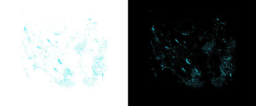 Bioluminescent plankton texture, glowing blue algae on black and white background, marine micro organism design element