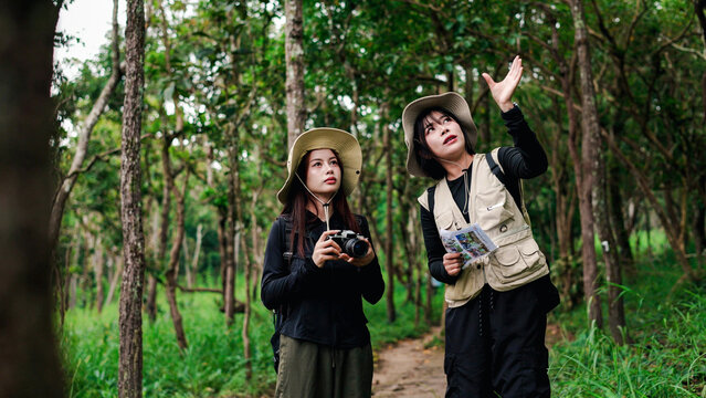 Two female hikers with backpacks pointing at scenery while exploring a lush green forest trail.